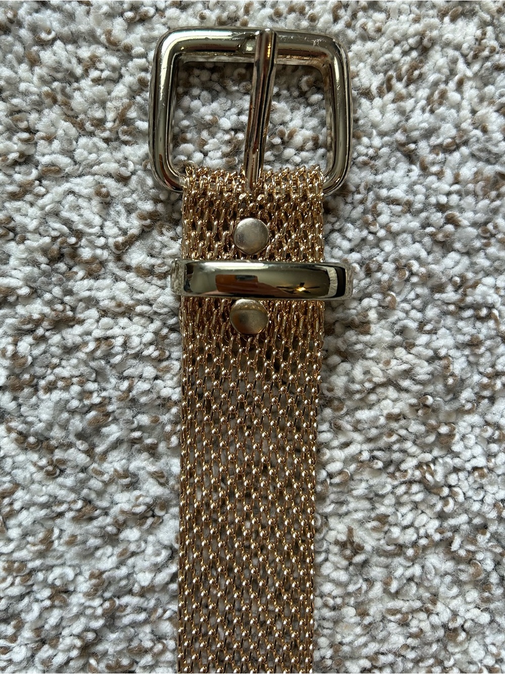 Gold Mesh Belt with Polished Buckle